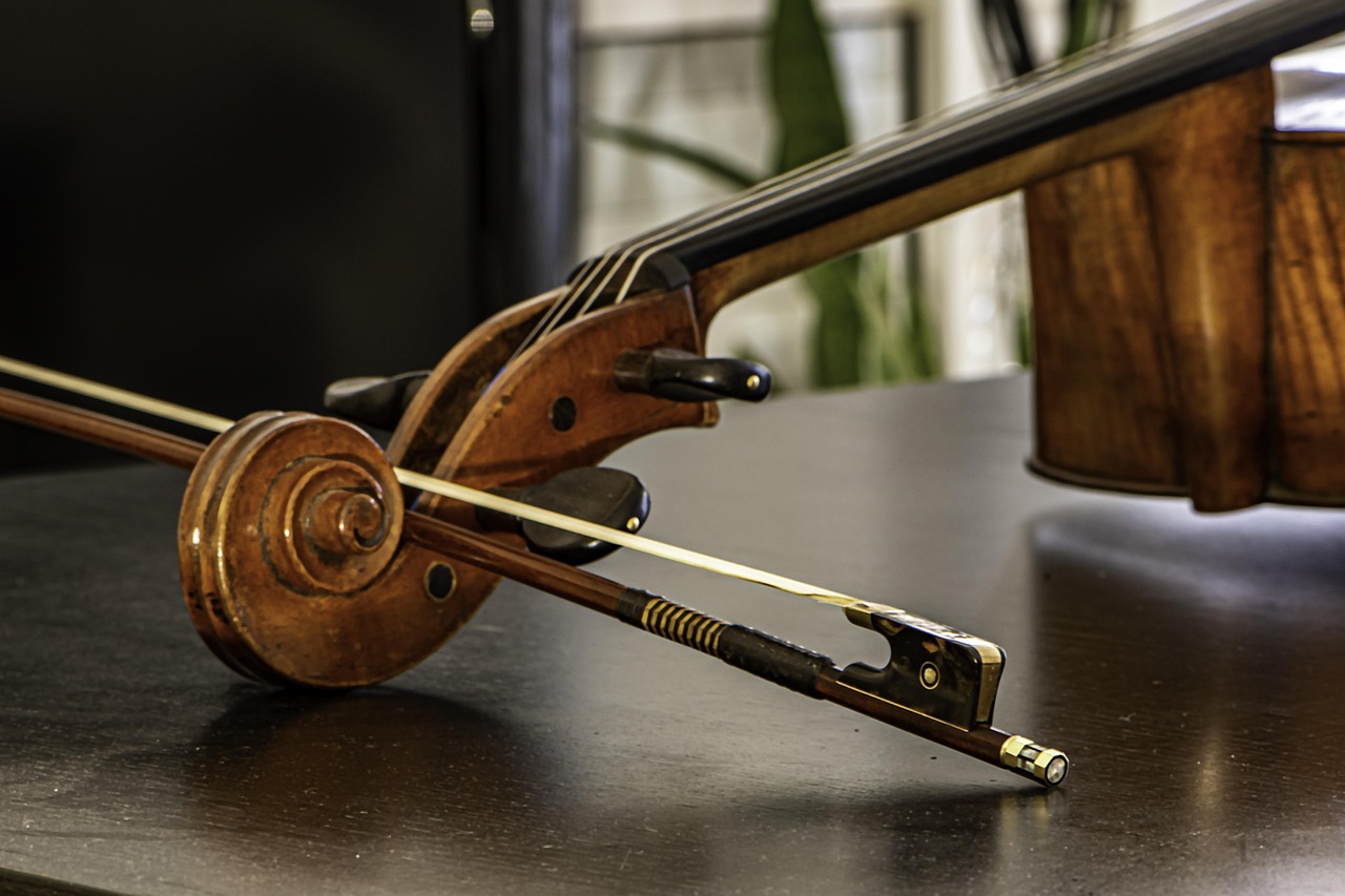 Oceloto Instrument Violoncelo Arco Instrumento - Foto gratuita no Pixabay - Pixabay