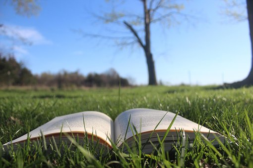 Free Book Open Book photo and picture