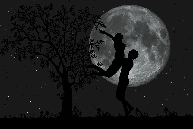 Free love romantic romantic night illustration