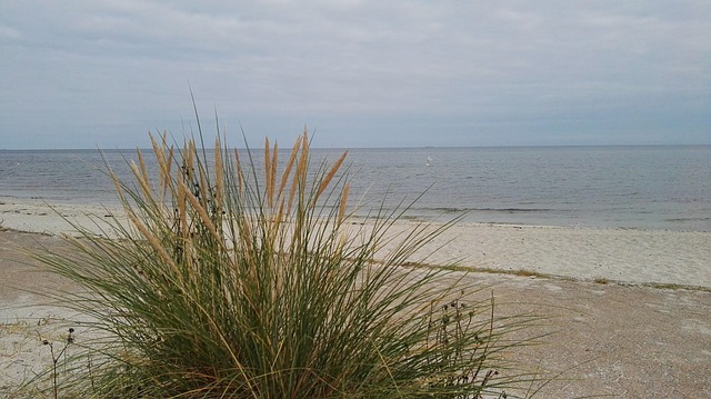 Free Beach Rush photo and picture