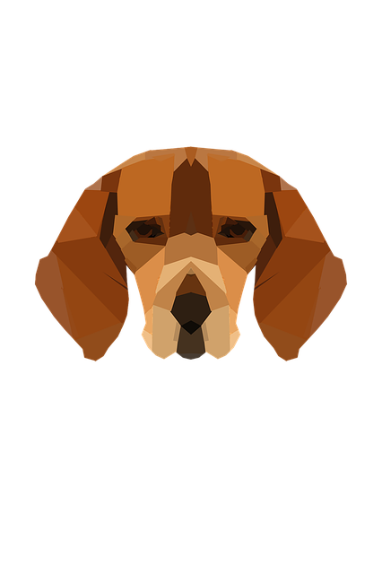 Câine, Low Poly, Față De Câine