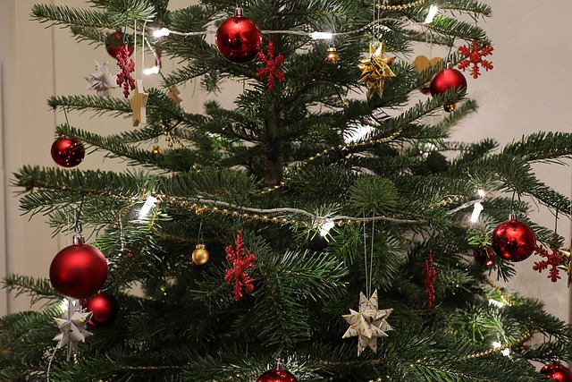 Weihnachtsbaum, Baumschmuck