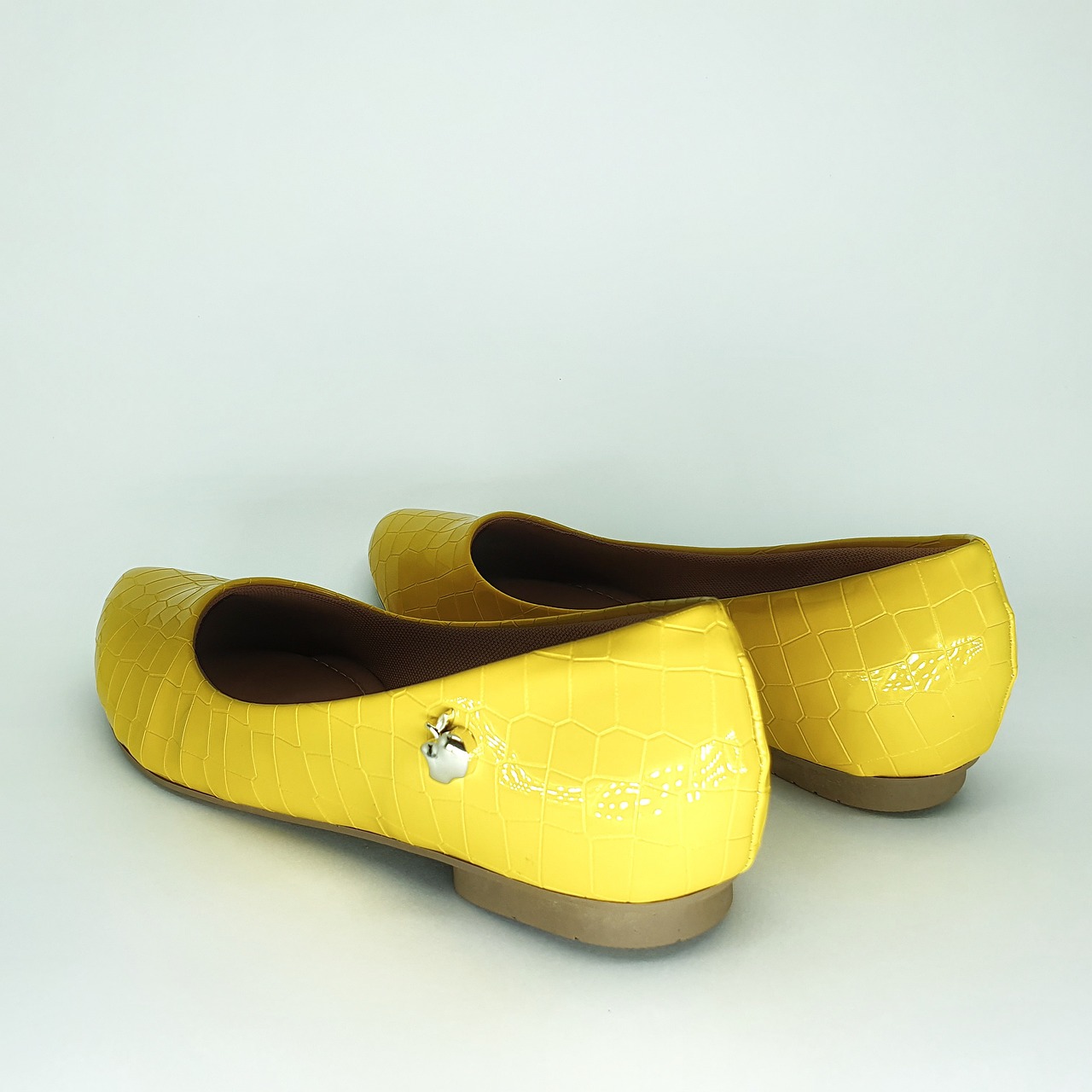 woman-shoe-feet-free-photo-on-pixabay-pixabay