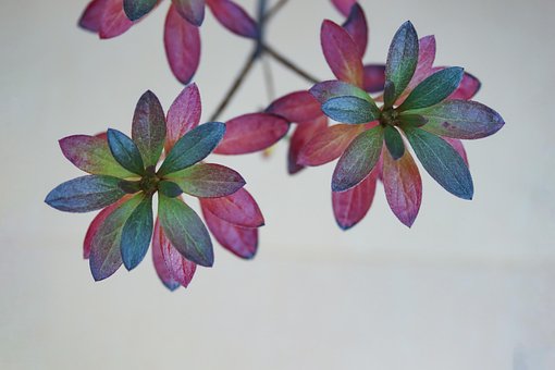 Free Green Natural photo and picture