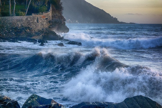 Free Recco Wave photo and picture