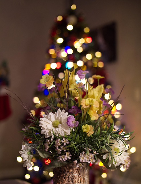 Free X-Mas Holiday photo and picture