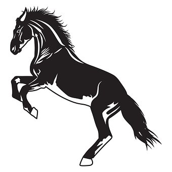 Cavalo, Pular, Preto, Pégaso, Passeio