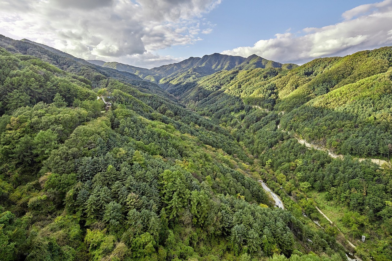 Drone - free online jigsaw puzzle photo
