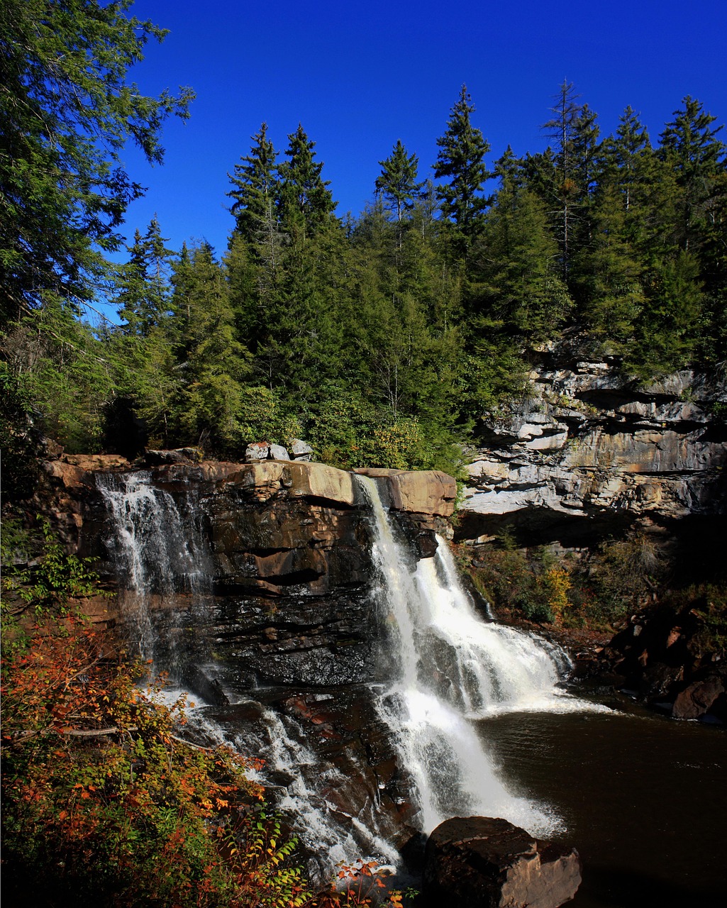 West Virginia Trees Nature Free photo on Pixabay Pixabay
