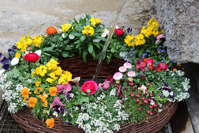 Free Fountain Spring photo and picture