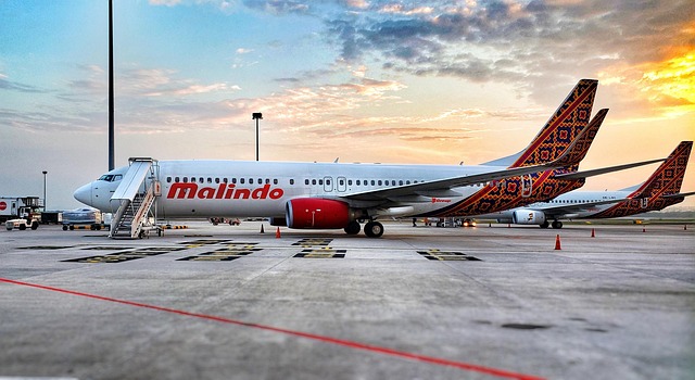 Free Airplane Aviation photo and picture
