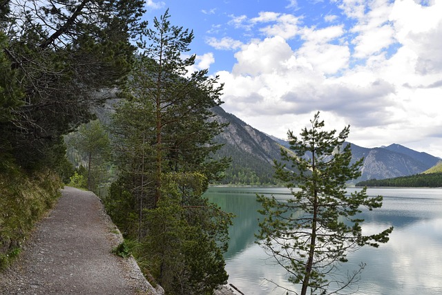 Weg, Natur, See, Landschaft, Bäume