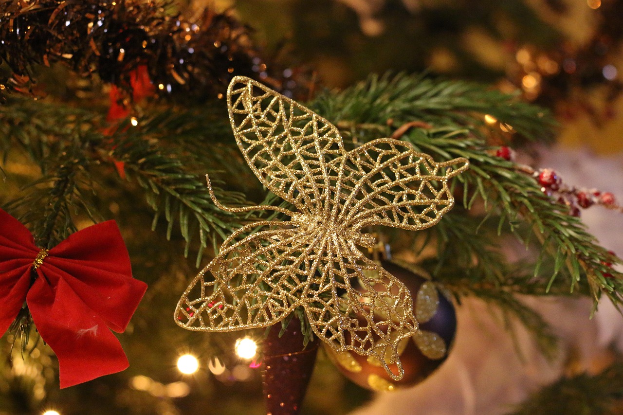 Butterfly Decoration Christmas - Free photo on Pixabay - Pixabay