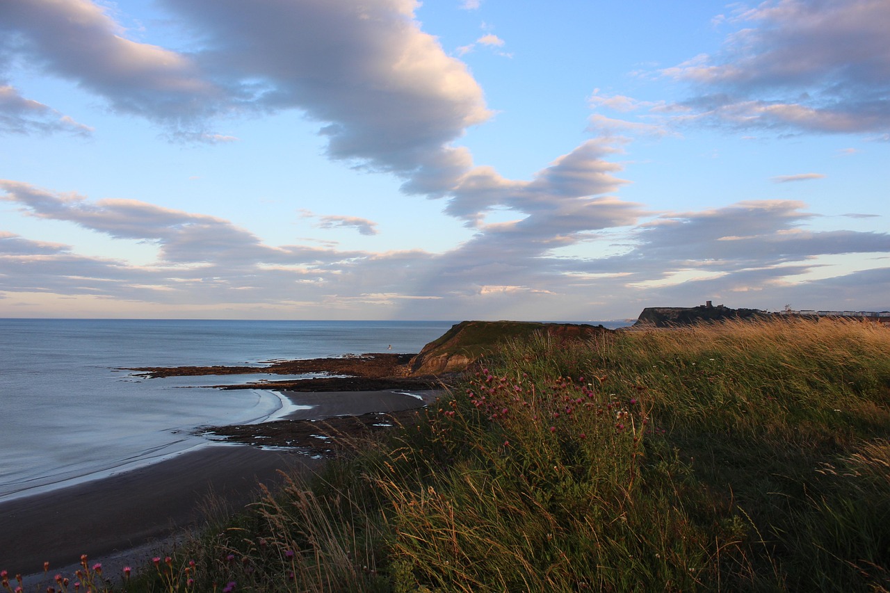 Free Sky Sea photo and picture