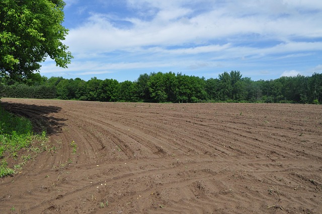 Free Farm Field photo and picture