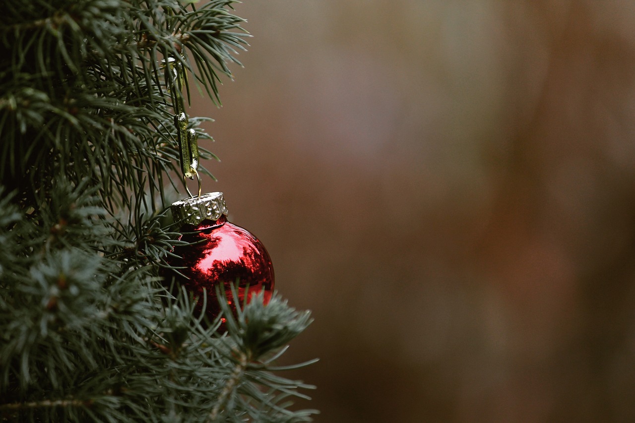 Plus De 10 000 Images De Sapin Et De No l Pixabay Plus De 10 000 Images De Sapin Et De No l Pixabay