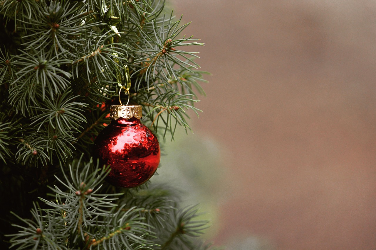 Plus De 50 000 Images De Sapin Silhouette Et De Sapin Pixabay Plus De 50 000 Images De Sapin Silhouette Et De Sapin Pixabay
