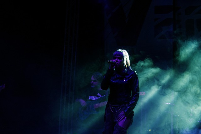 Free Singer Concert photo and picture