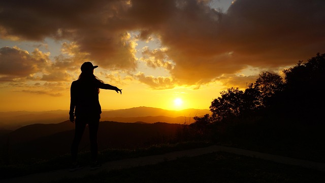 Free Nature Shadow photo and picture
