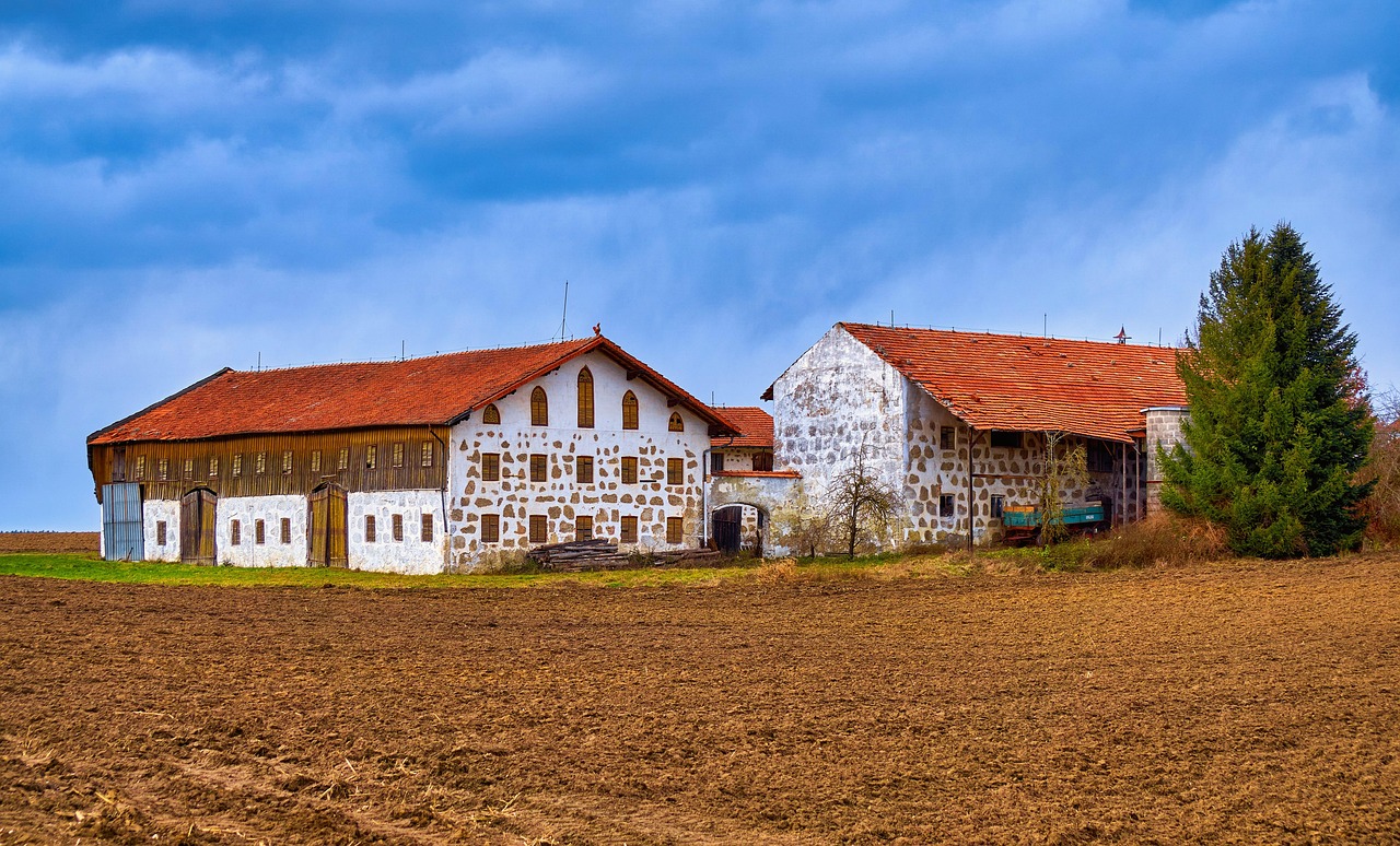 Agriculture - free online jigsaw puzzle photo