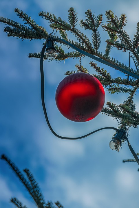 Tragic Christmas Road Deaths: Families Devastated as Four Victims Struck Near Home - News Directory 3