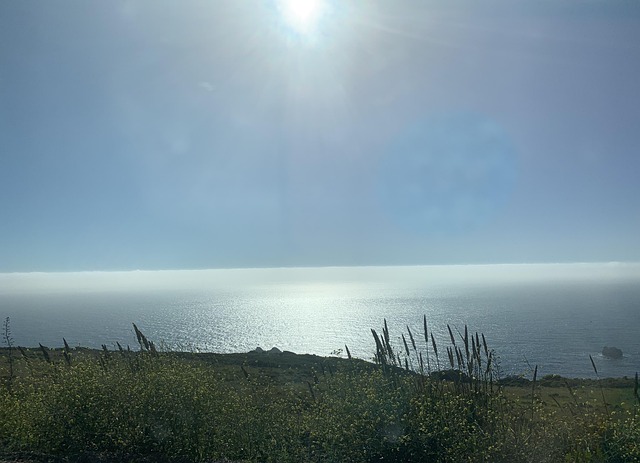 Free Pacific Ocean Ocean photo and picture