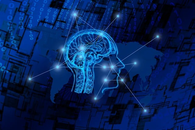 Download free HD stock image of Transformation Web Free transformation web brain illustration