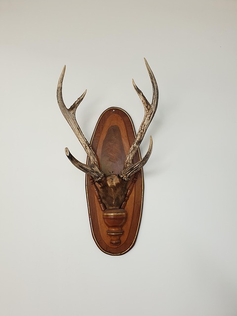 Free Ornament Deer photo and picture
