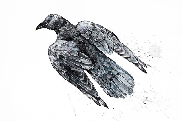 Free watercolor watercolour crow illustration