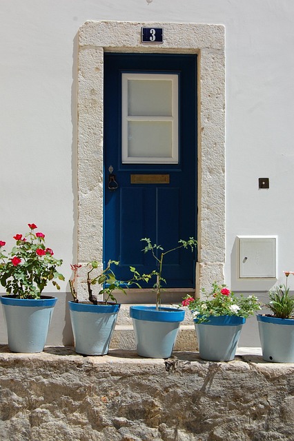Tür, Blau, Farbe, Vasen, Blumen