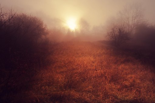Mist, Zonsopkomst, Landschap, Schemering