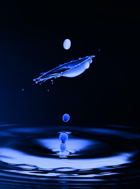 Free Drops Water photo and picture