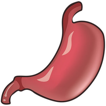 Free Stomach Medicine illustration and picture