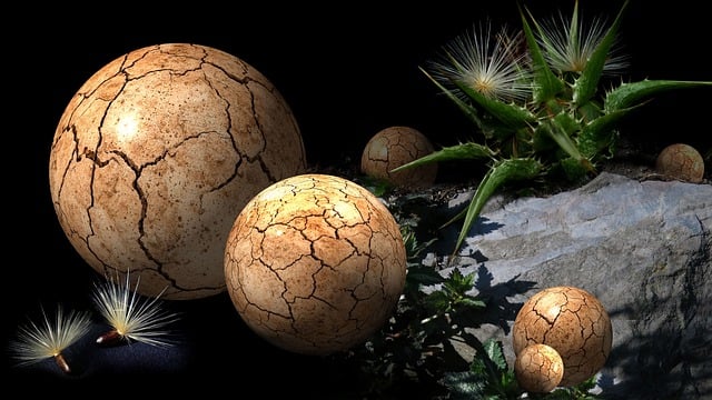Free ball thistle pickled thistle balls illustration