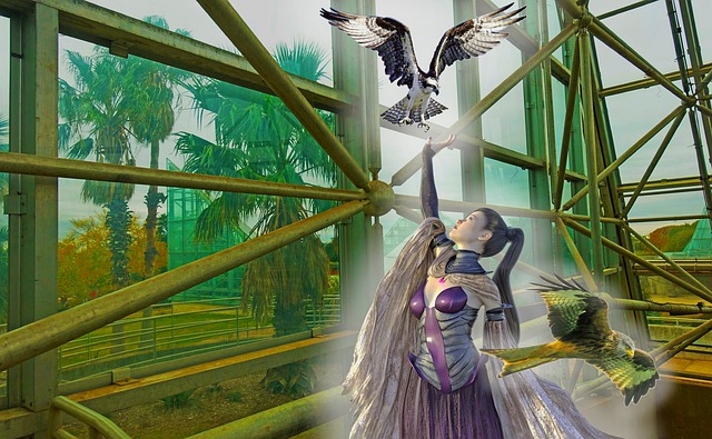 Free biosphere falcons falconry illustration