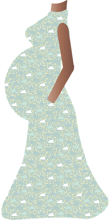 Mulher Gravida Silhueta Etnicos Grafico Vetorial Gratis No Pixabay