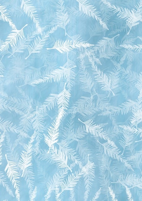 Winter, Feder, Eis, Hintergrund