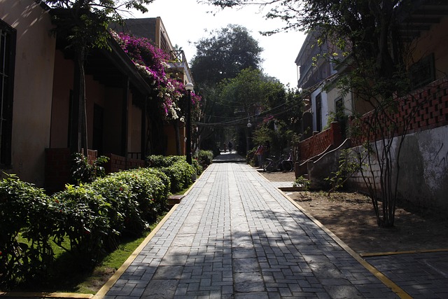 Free City Of Lima Peru photo and picture