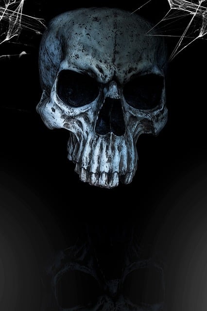 Free skull horror skull and crossbones illustration
