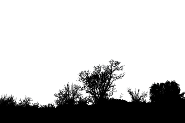 Free nature silhouette winters illustration