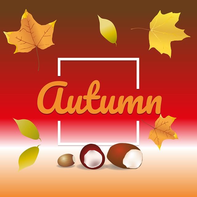 Free fall nature season vector