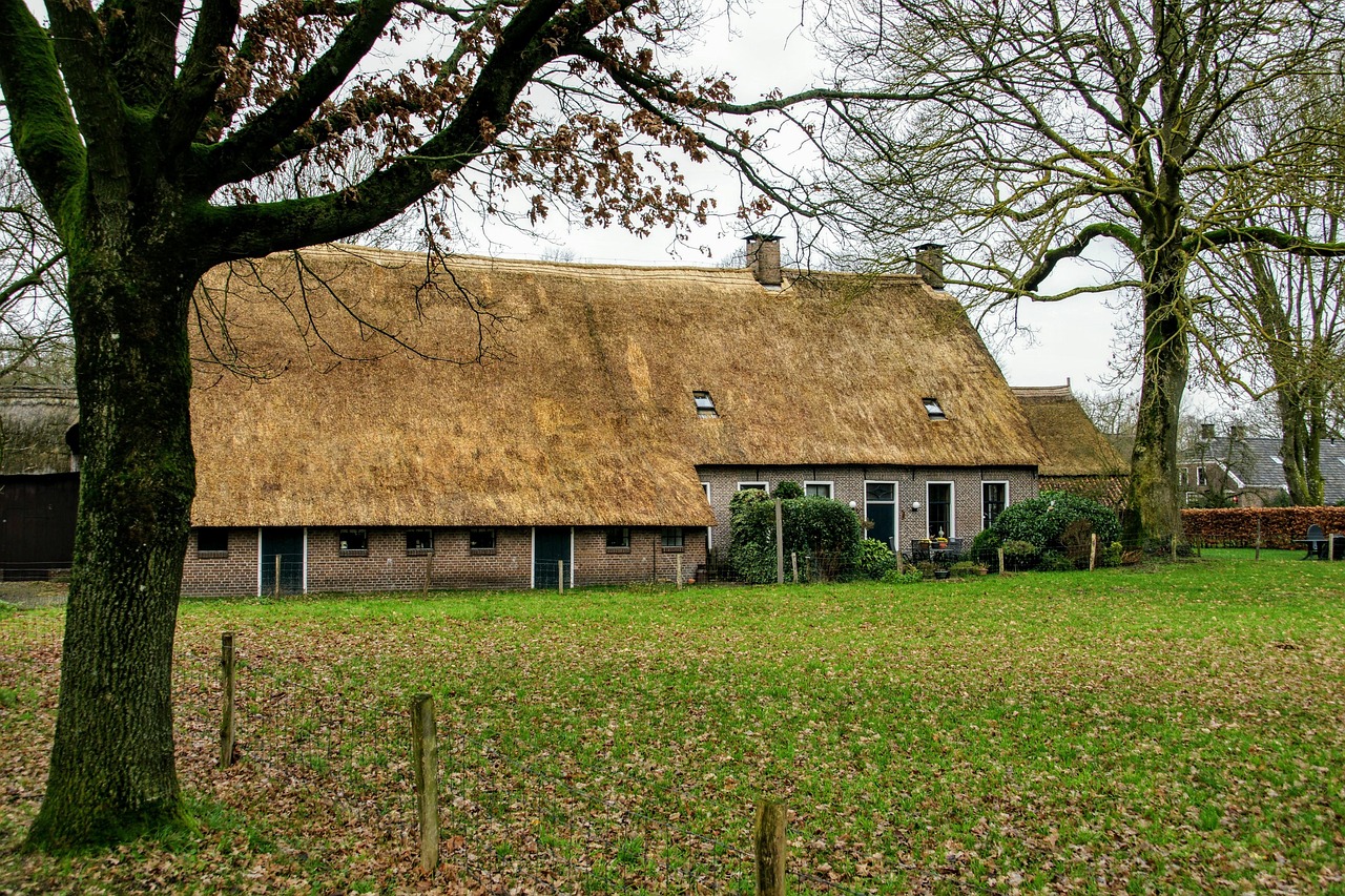 Farm - free online jigsaw puzzle photo