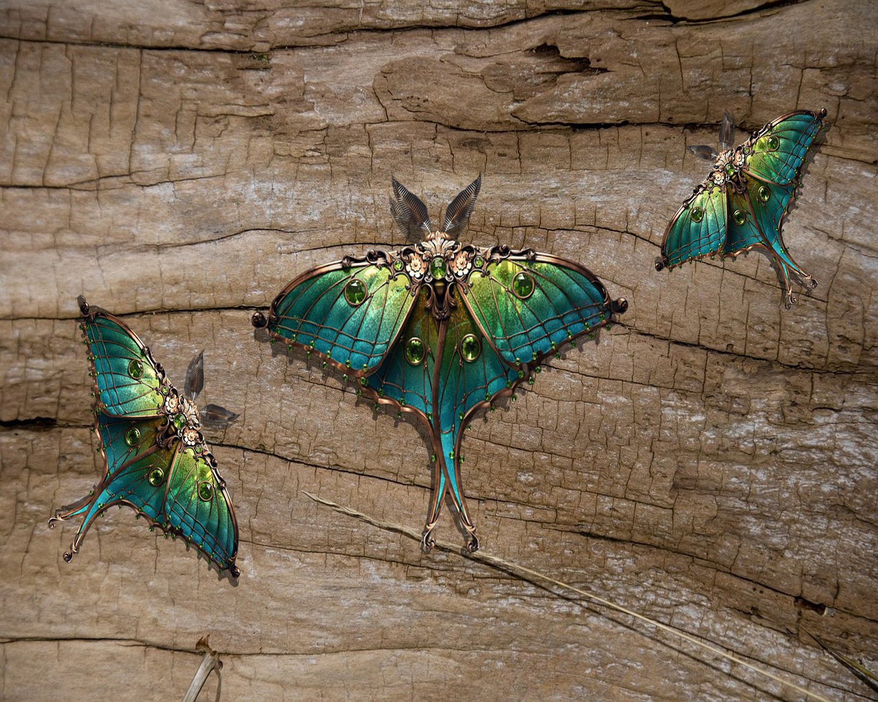 Download Moths, Butterfly, Insects. Royalty-Free Stock Illustration ...