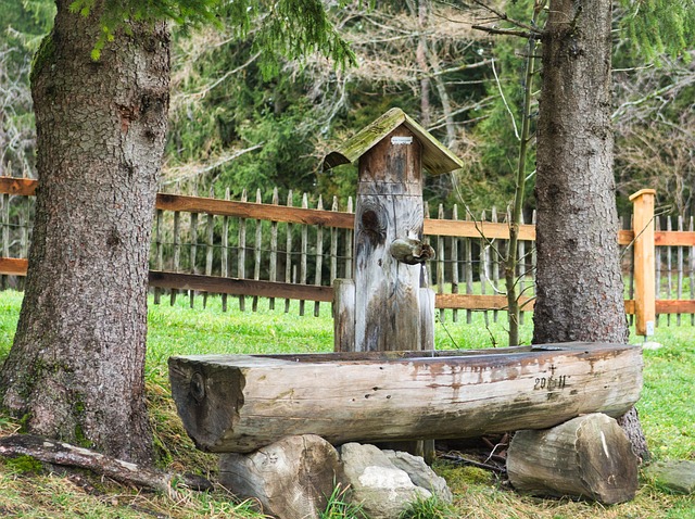 Wasserstelle, Brunnen, Alm, Wassertrog