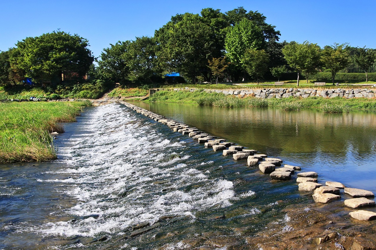 damyang bamboo forest korea selatan dengan lanskap sungai dan area hijau sekitar Juknokwon