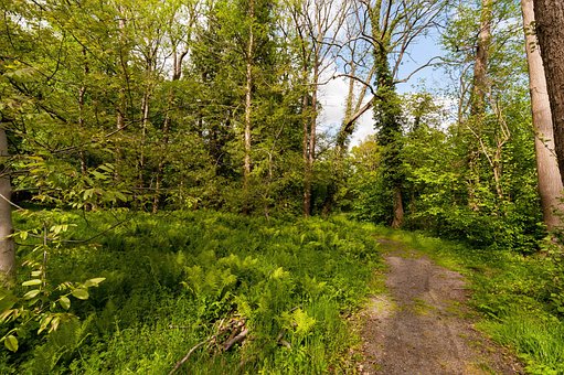 Free Landscape Lake photo and picture