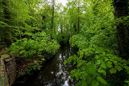 Free Landscape Lake photo and picture