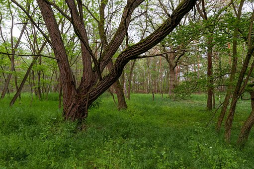 Free Landscape Lake photo and picture