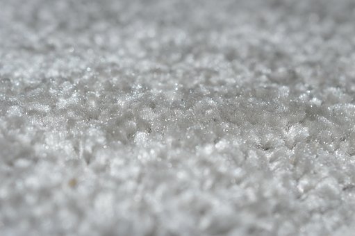 Free Macro Micro photo and picture