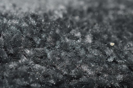 Free Macro Pattern photo and picture